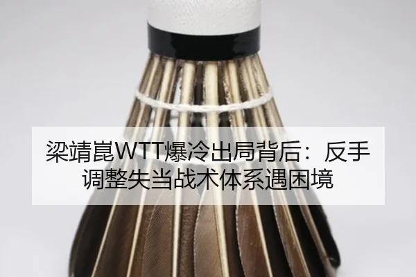 liang-jing-kun-bao-leng-chu-ju-bei-hou-fan-shou-tiao-zheng-shi-dang-zhan-shu-ti-xi-yu-kun-jing-2-759.jpg